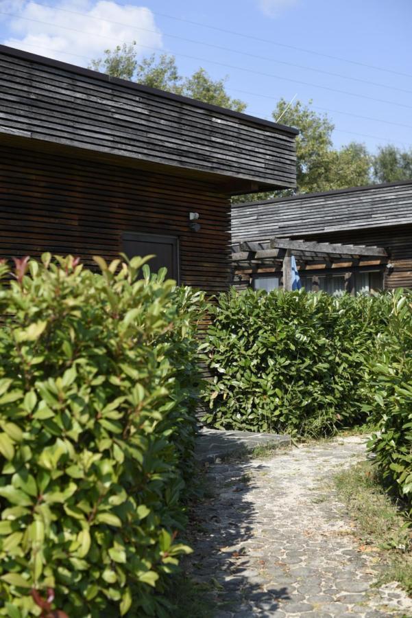 Zagreb Camp Bungalows Rakitje ภายนอก รูปภาพ